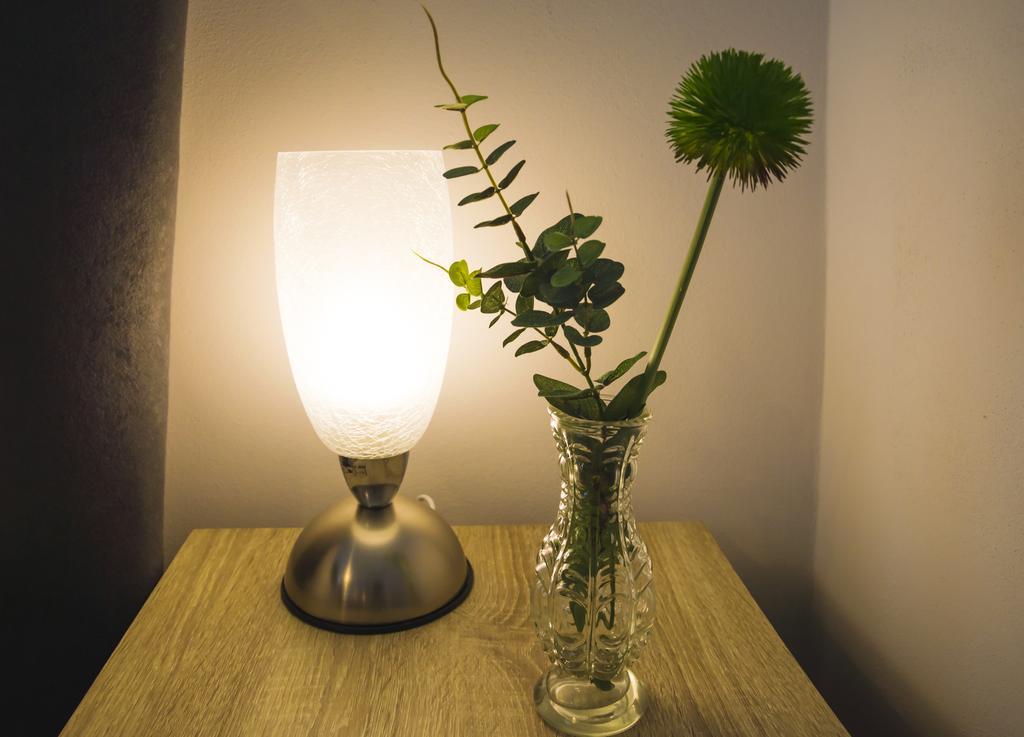 Apartmán Krakovska 5 Praha